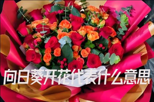 向日葵花语