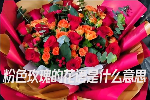 粉色玫瑰的花语是什么意思