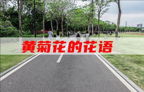 黄菊花的花语