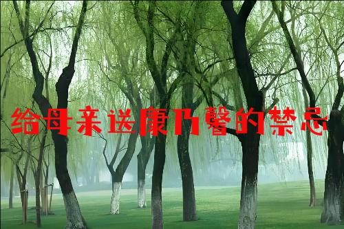 给母亲送康乃馨的禁忌