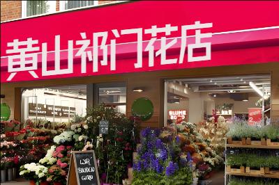 ��ɽ���Ż���