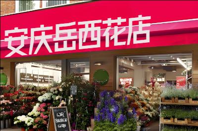 安庆岳西花店
