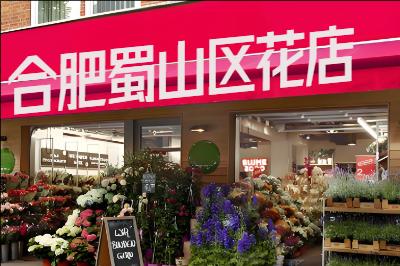 �Ϸ���ɽ������