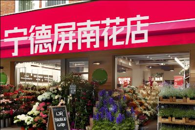 宁德屏南花店