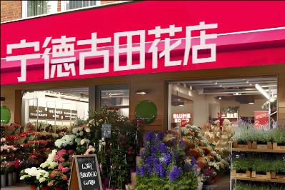 ���¹��ﻨ��