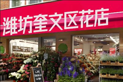 Ϋ������������