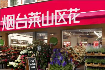 ��̨��ɽ�������ͻ�