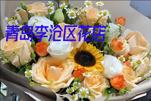 �ൺ����������ͻ�