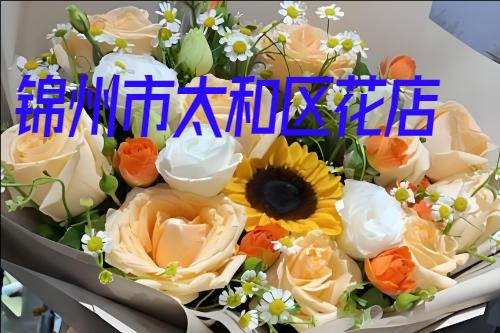 ������̫���������ͻ�