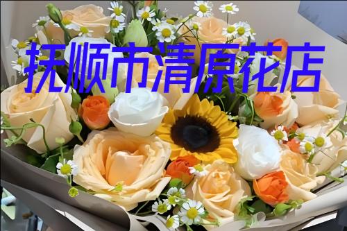 ˳ԭͻ