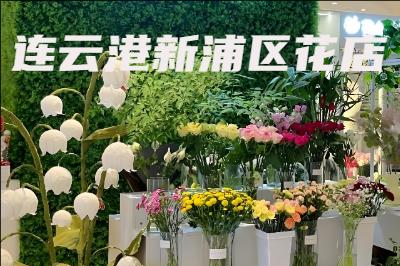 ���Ƹ�����������