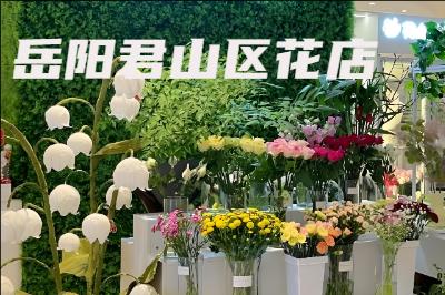 ������ɽ�������ͻ�