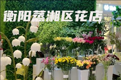 衡阳蒸湘区花店