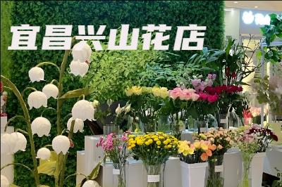 �˲���ɽ����