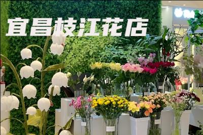 �˲�֦������