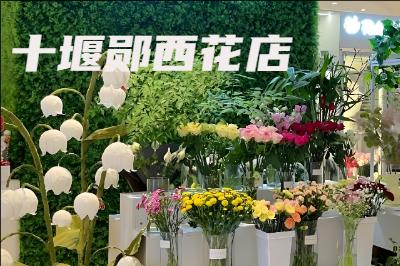 ʮ�����������ͻ�