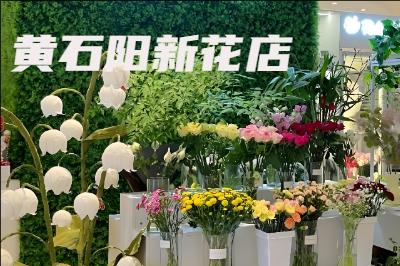 ��ʯ���»���