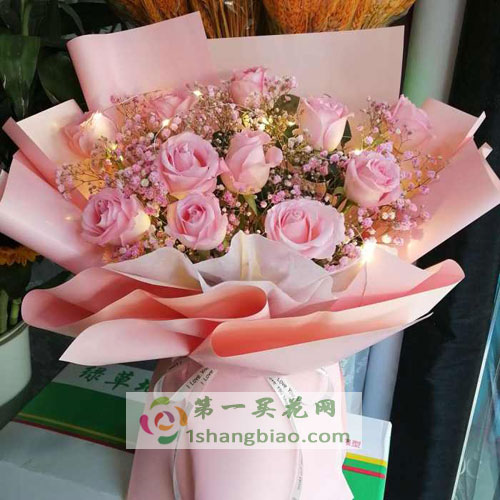 һ��һ������ϧ