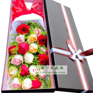 举案齐眉19朵玫礼盒